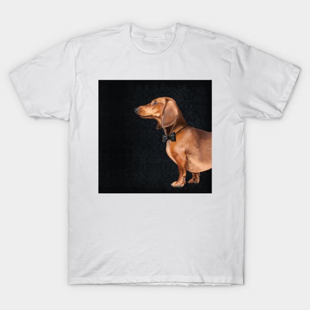 Mr Dachshund T-Shirt by Sparafuori